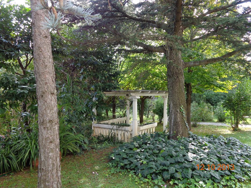 Park